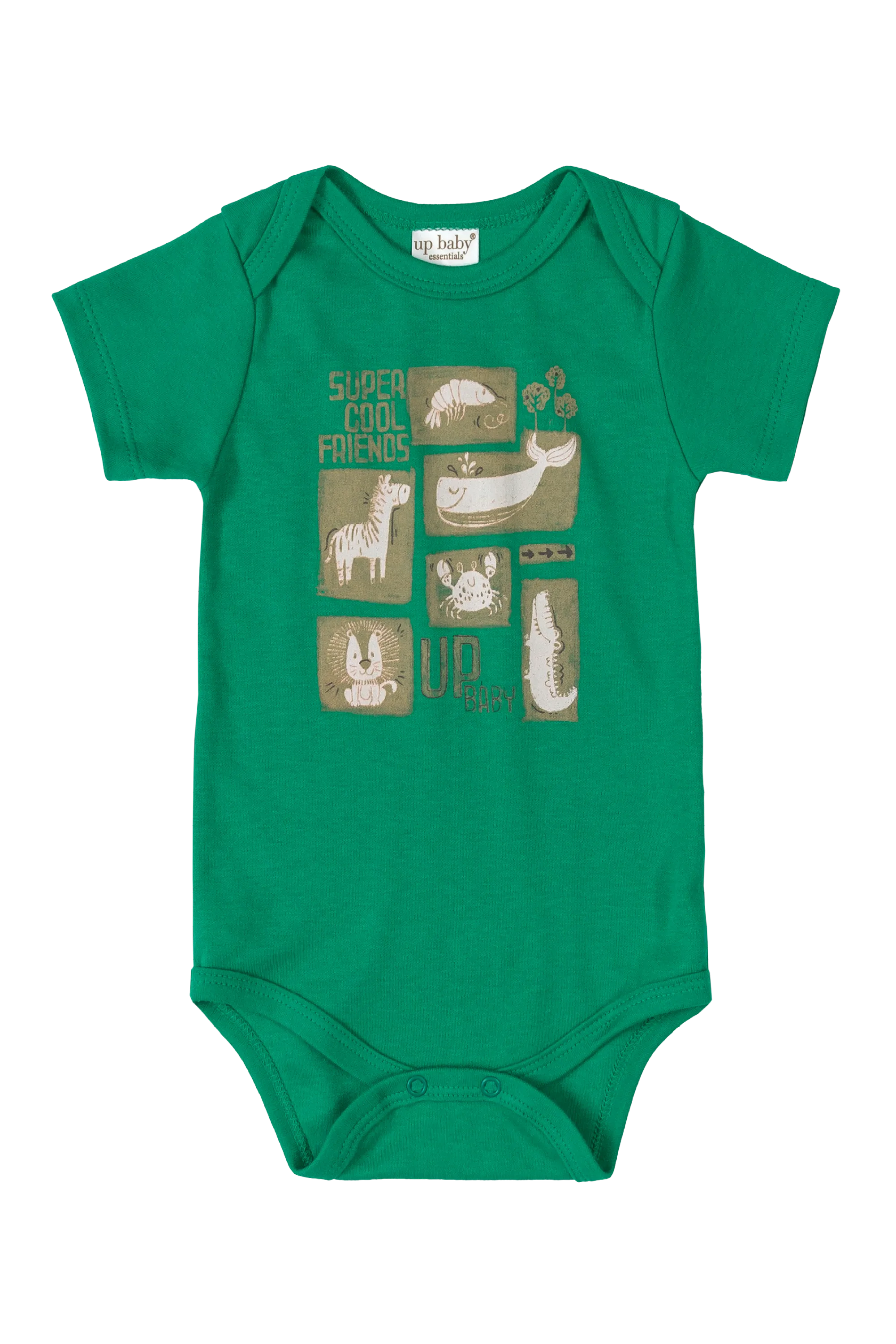 10 Piece Safari Essentials Collection