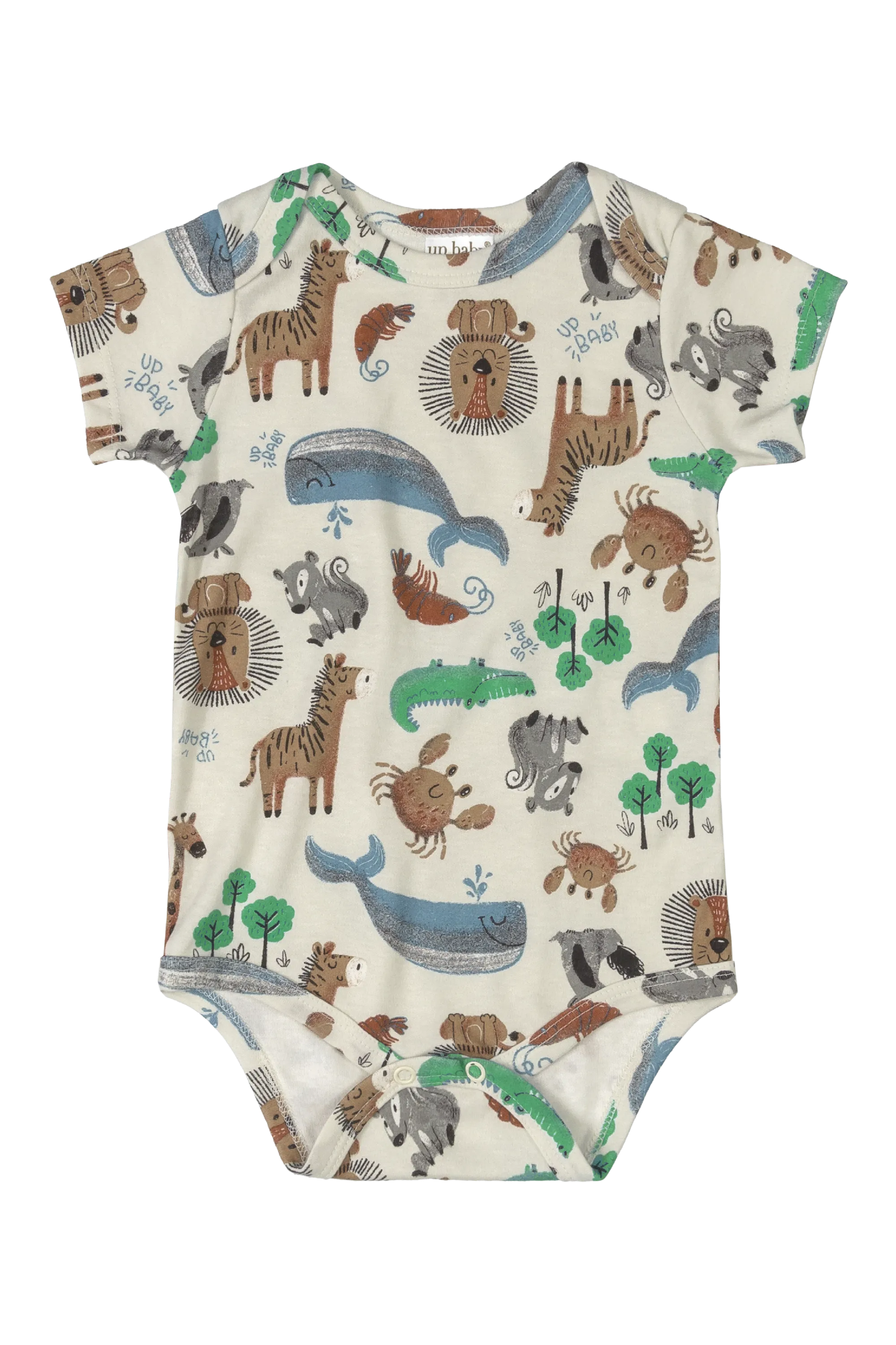 10 Piece Safari Essentials Collection
