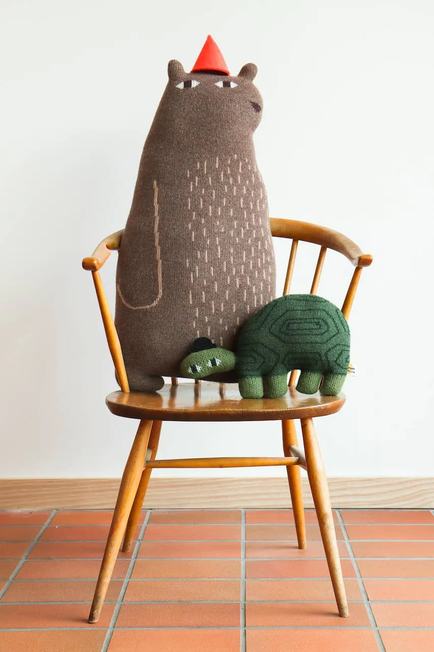 Jon Klassen Turtle
