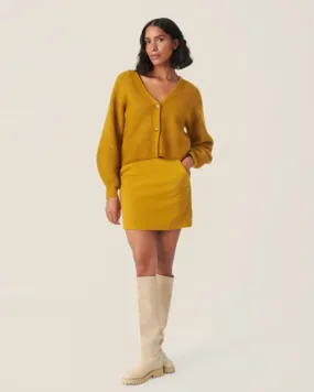 Mustard Mini Skirt