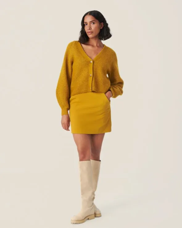 Mustard Mini Skirt