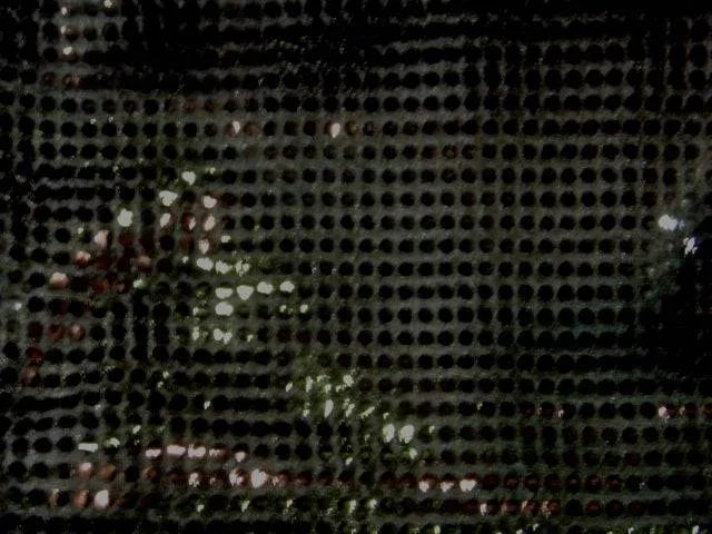 Polka Dots Sequin 6mm - Jersey Knit