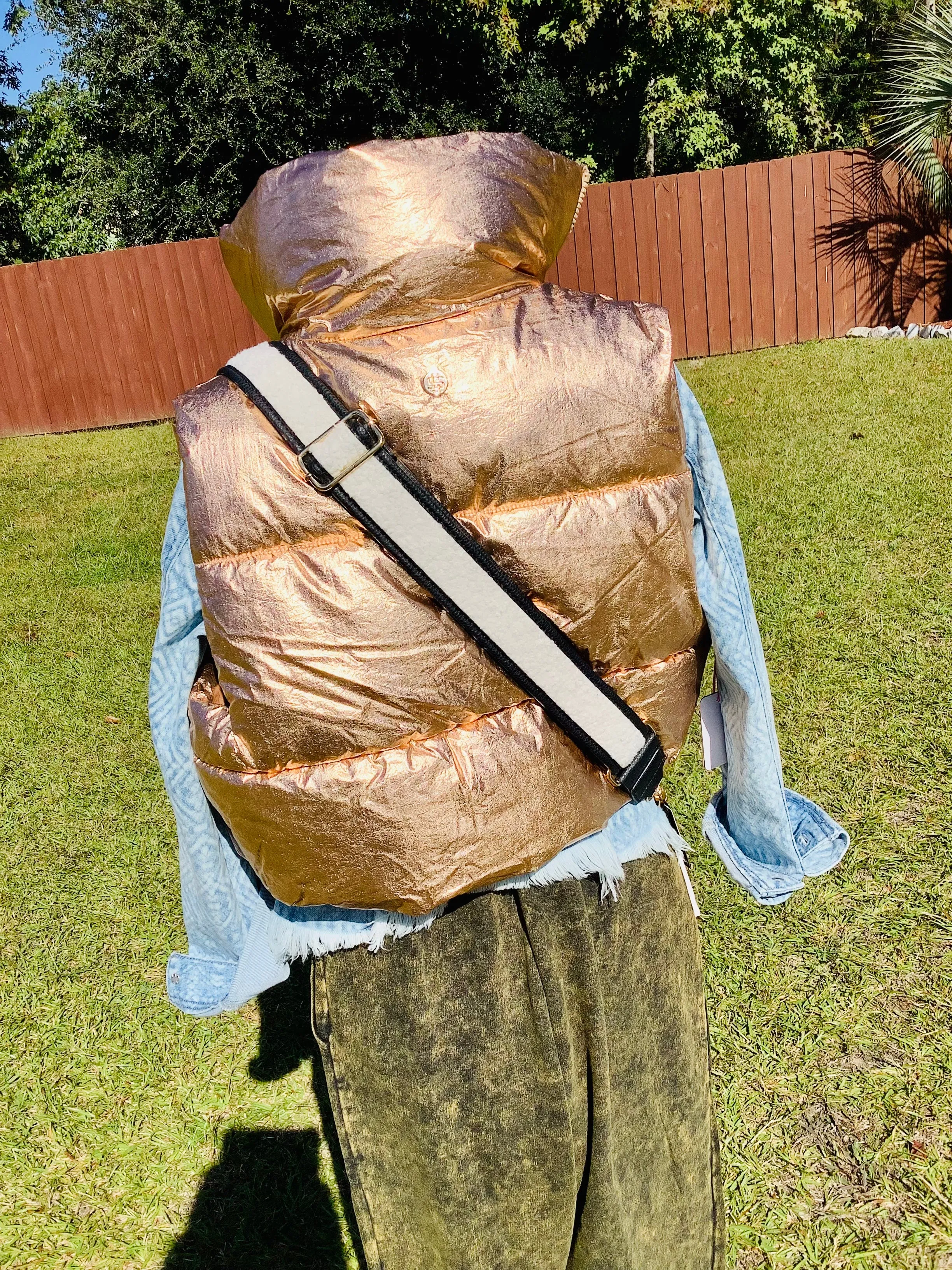 The Puffy Vest